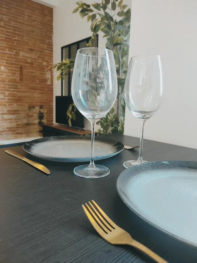 • La Brique Rose - Apt 2P - Place Jeanne D'Arc Apartment Toulouse
